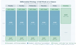 Differential Pricing and the Business of Psychotherapy